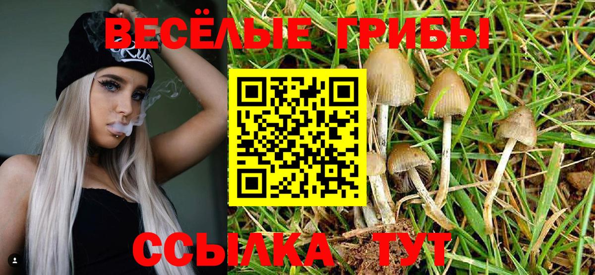 Волоколамск  где продают   Галлюциногенные грибы Magic Shrooms  Вход с VPN  Псилоцибиновые грибы мухоморы 