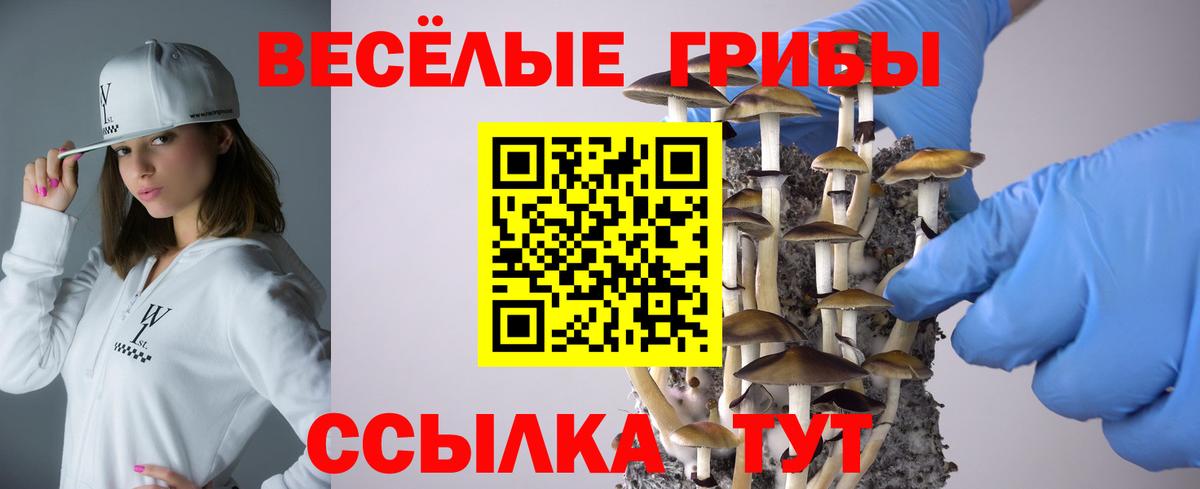 Псилоцибиновые грибы Magic Shrooms Волоколамск