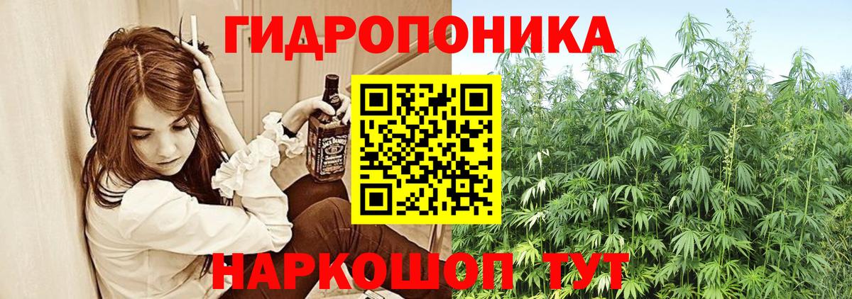 Бошки марихуана конопля Волоколамск